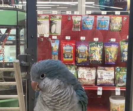 Petco
