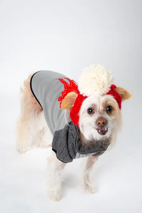 Canobie Lake Veterinary Hospital Picture 3
