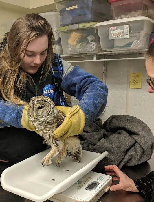 Granite State Animal Hospital Picture 6