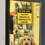 Granite State Animal Hospital