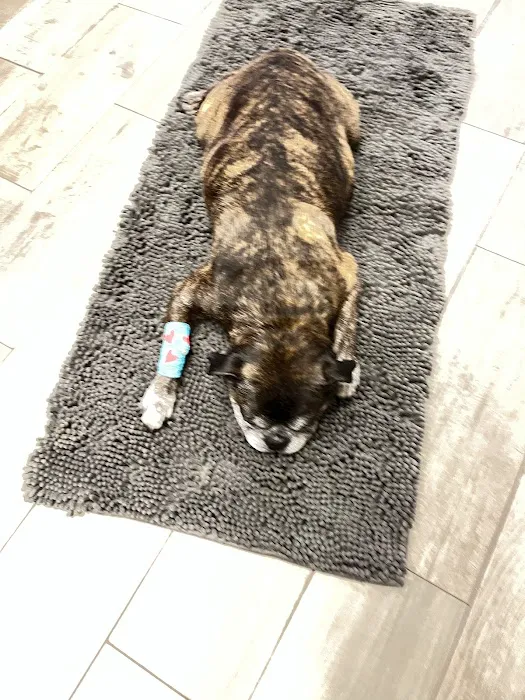 Salem Animal Hospital Picture 1