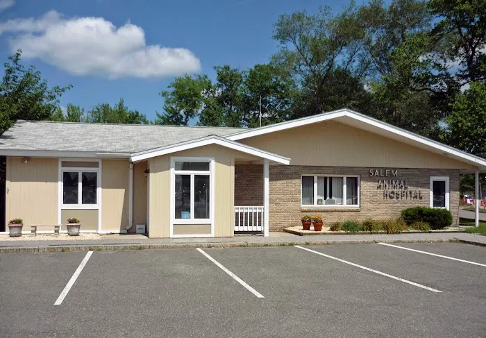 Salem Animal Hospital Picture 8