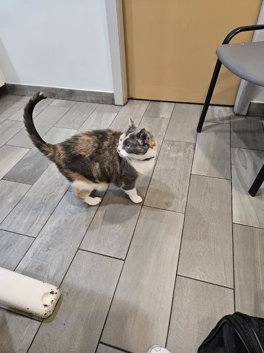 Salem Animal Hospital Picture 9