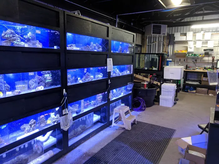 Premium Aquatics Picture 5