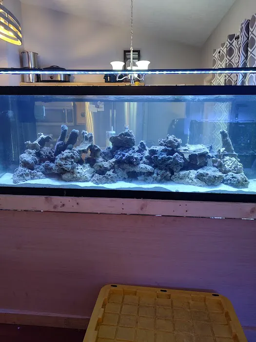 Premium Aquatics Picture 4