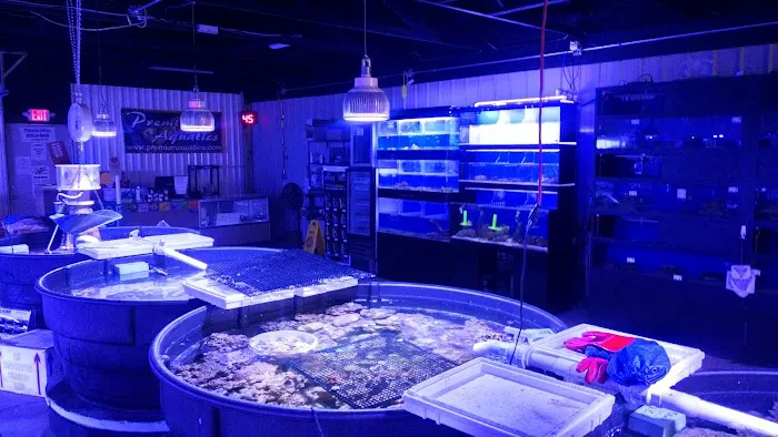 Premium Aquatics Picture 2