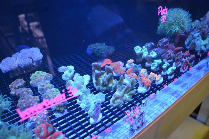 Premium Aquatics Picture 6