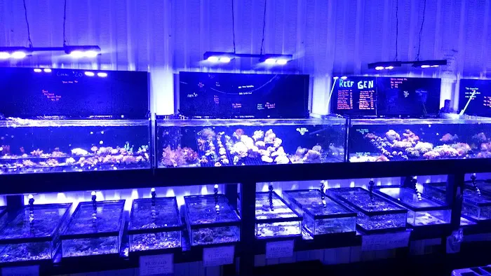 Premium Aquatics Picture 9