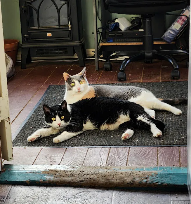 Northwood Veterinary Hospital Picture 4