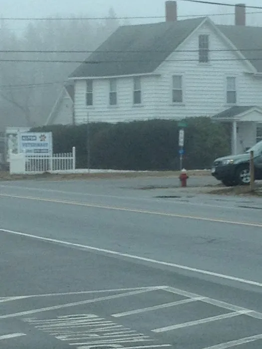 Alton Veterinary Clinic Picture 5