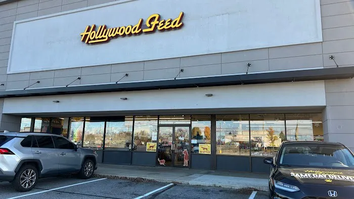 Hollywood Feed Picture 10