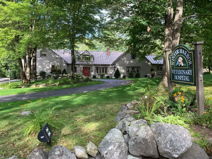 Winter Harbor Veterinary Hospital Picture 2