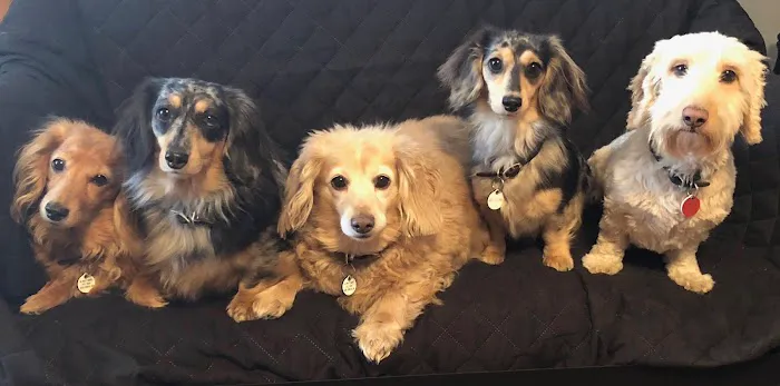 Winter Harbor Veterinary Hospital Picture 1