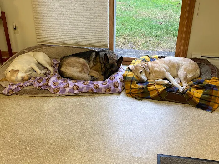 Winter Harbor Veterinary Hospital Picture 4