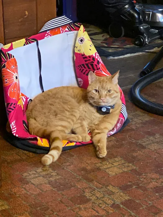 Winter Harbor Veterinary Hospital Picture 6