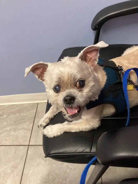 Winter Harbor Veterinary Hospital Picture 8