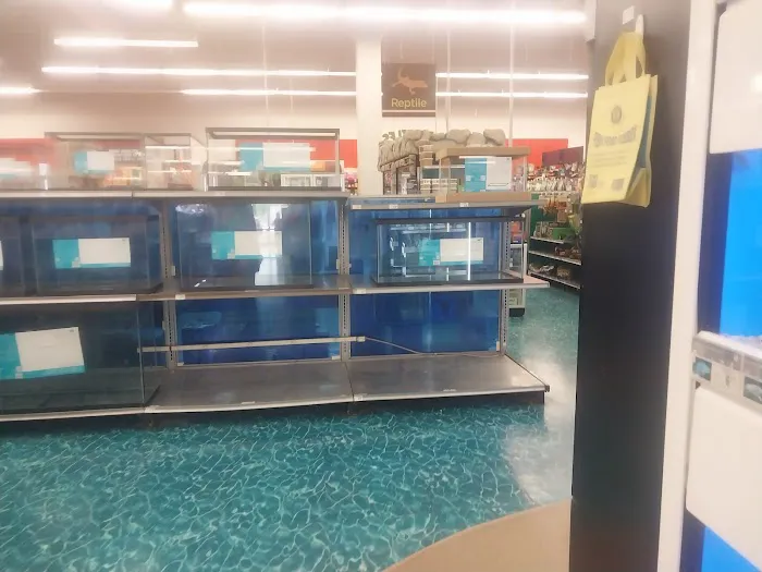 Petco Picture 5