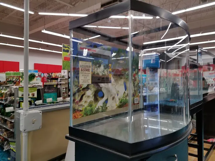 Petco Picture 3
