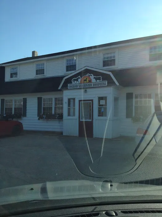 Cocheco Veterinary Hospital Picture 1