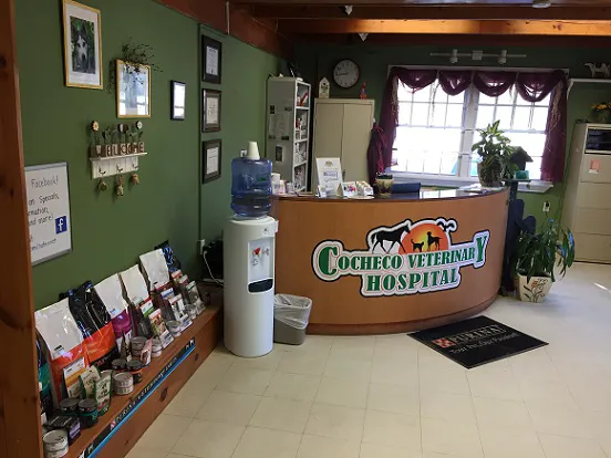 Cocheco Veterinary Hospital Picture 3