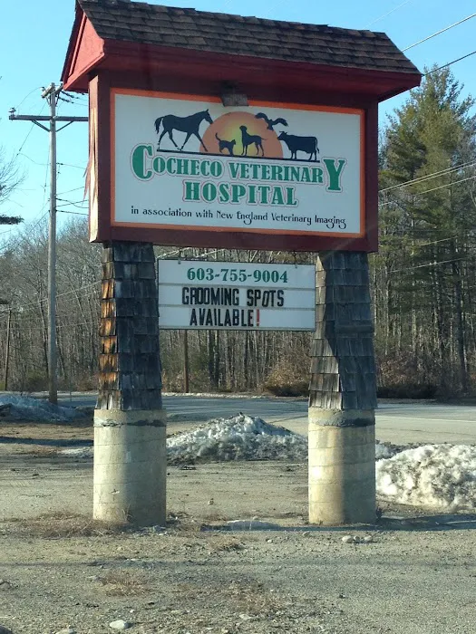 Cocheco Veterinary Hospital Picture 4