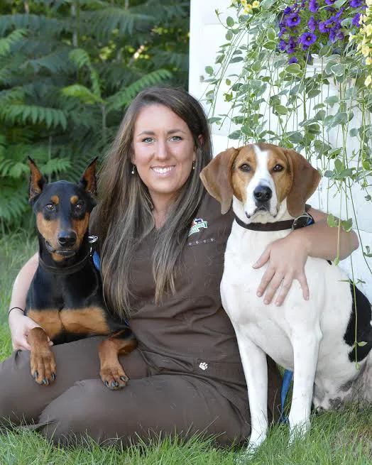 Cocheco Veterinary Hospital Picture 7
