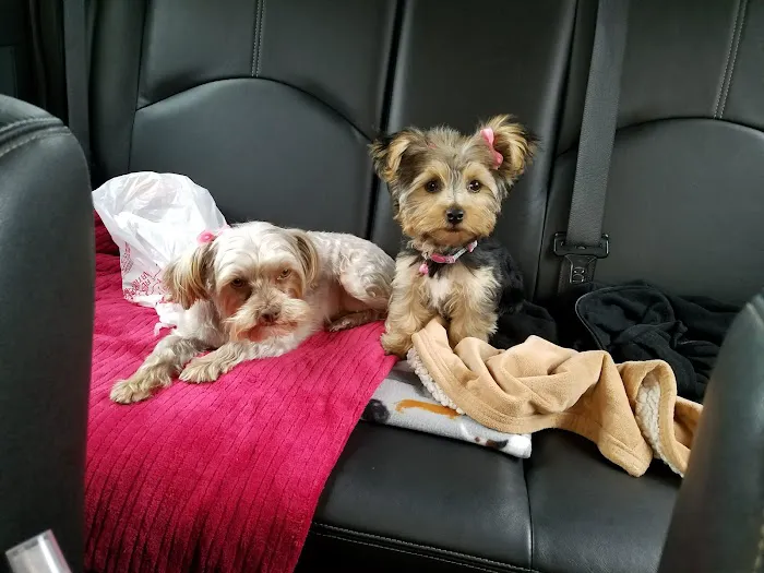 Petco Picture 2