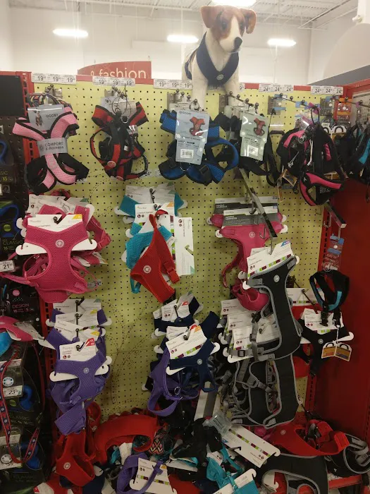 Petco Picture 4