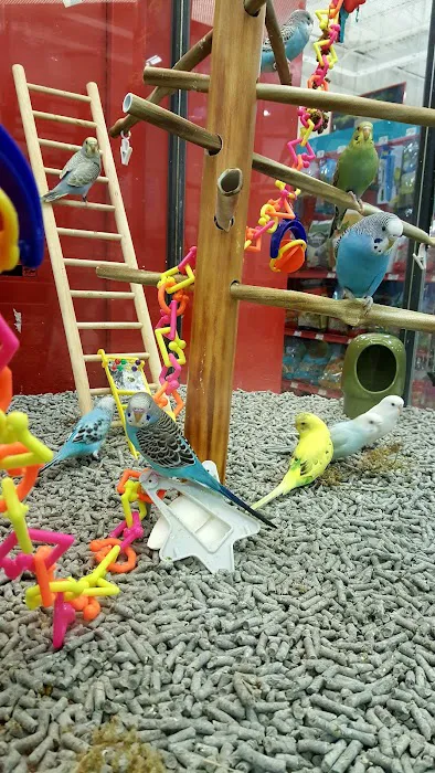 Petco Picture 5