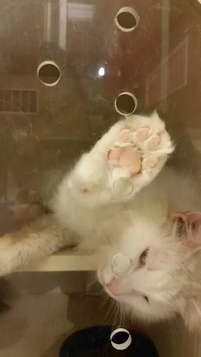 Petco Picture 9