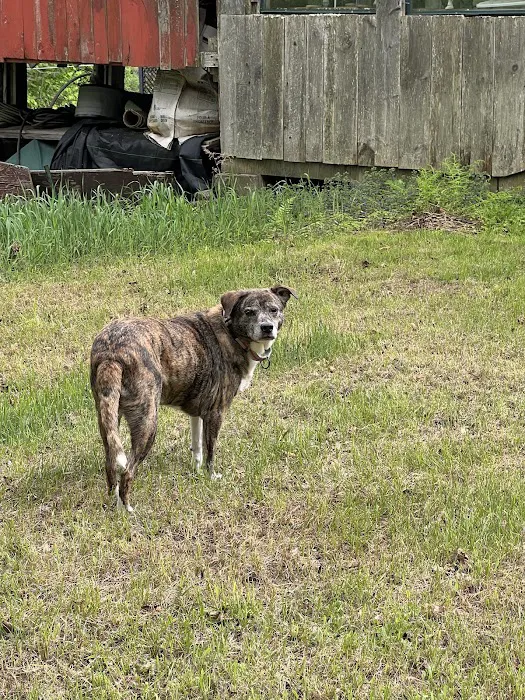 Meadow Pond Animal Hospital Picture 7