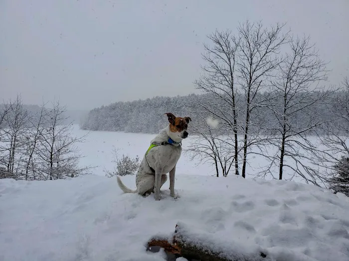 Meadow Pond Animal Hospital Picture 6