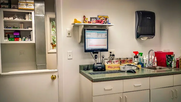 Meadow Pond Animal Hospital Picture 9