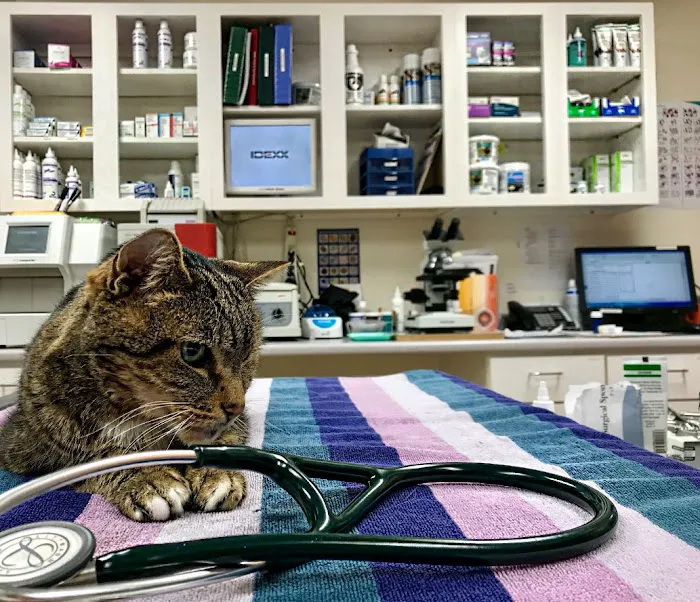 Linwood Veterinary Clinic Picture 1