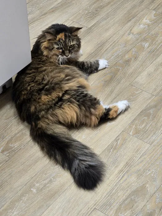 Linwood Veterinary Clinic Picture 8
