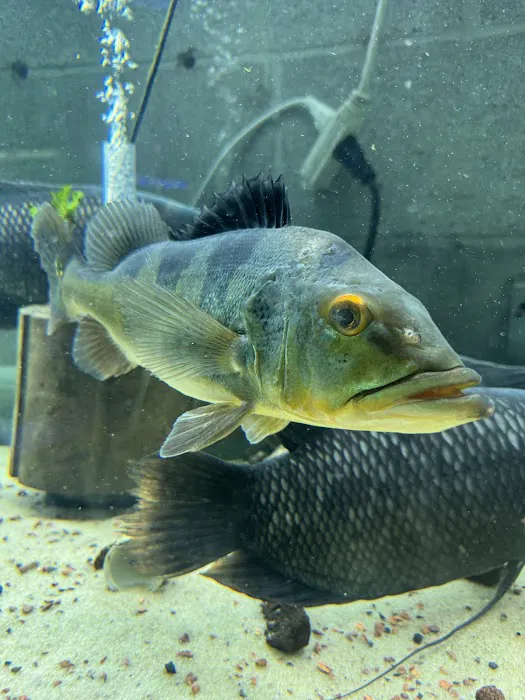 Fish Happens Picture 3