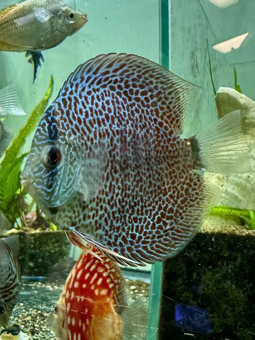 Fish Happens Picture 4