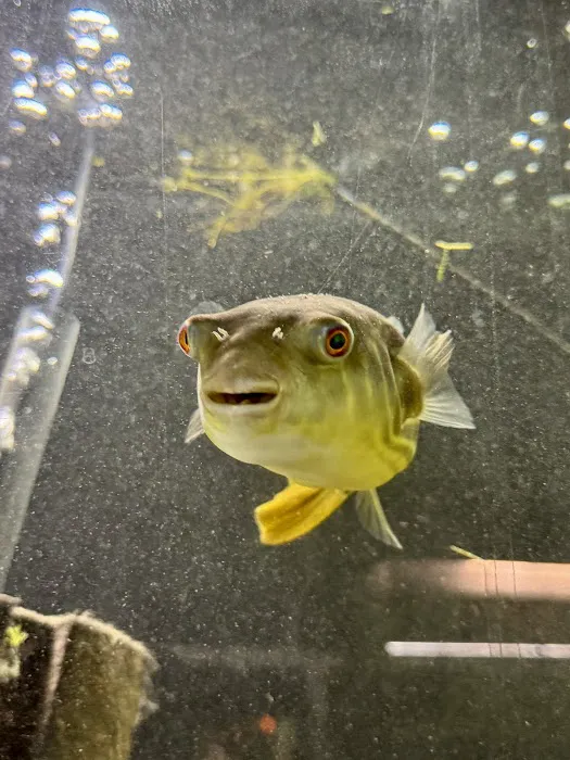 Fish Happens Picture 7