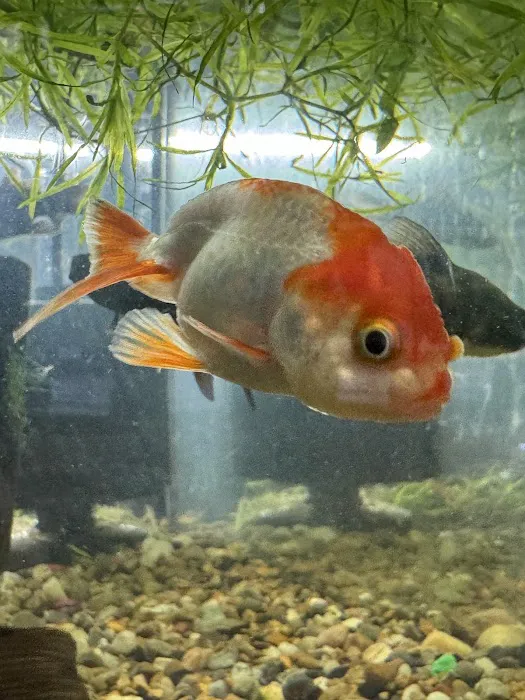 Fish Happens Picture 9