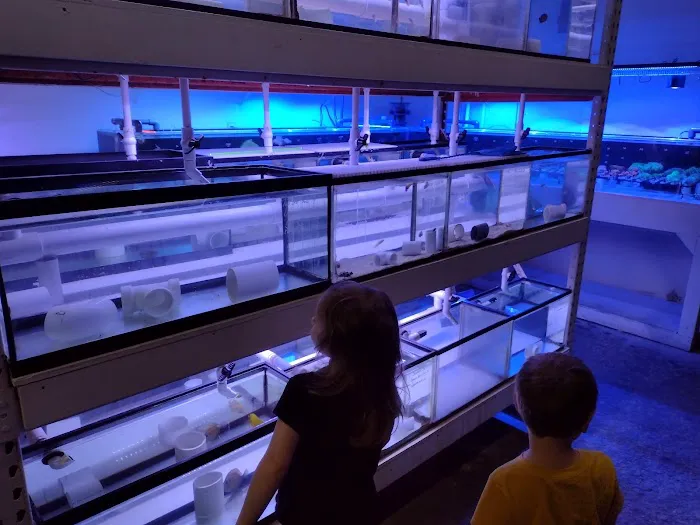 Modern Aquatix Picture 2
