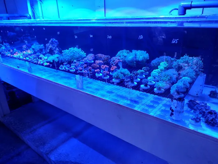 Modern Aquatix Picture 4