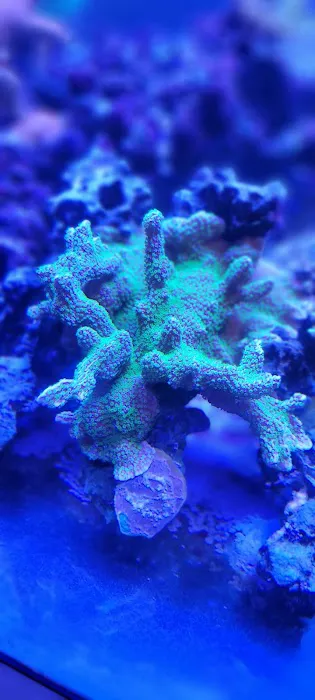 Modern Aquatix Picture 6