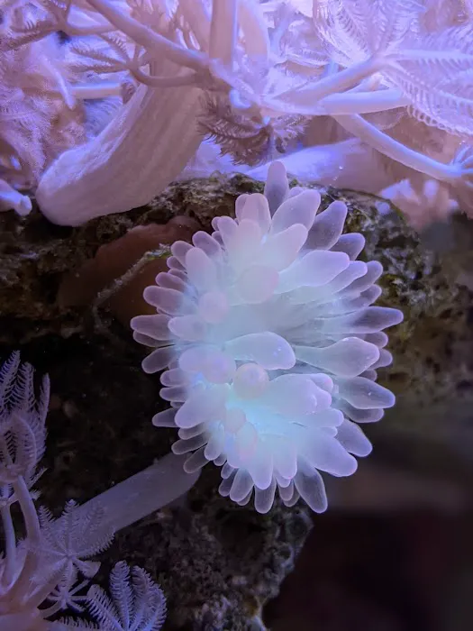Modern Aquatix Picture 5