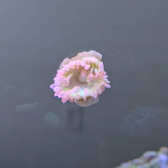 Modern Aquatix Picture 10