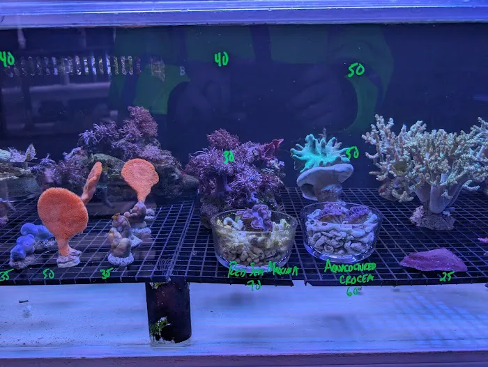 Modern Aquatix Picture 9