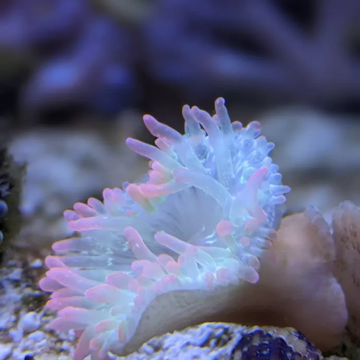 Modern Aquatix Picture 7