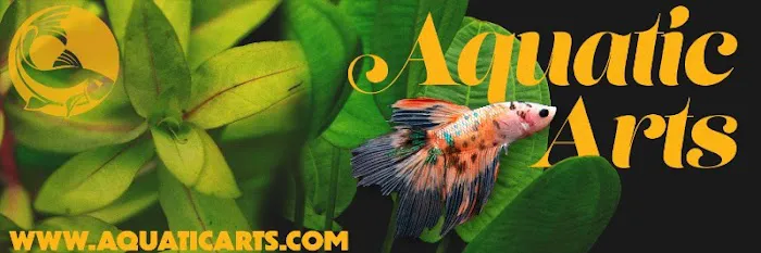 Aquatic Arts Picture 1
