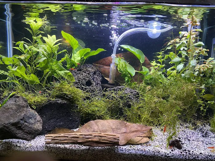 Aquatic Arts Picture 4