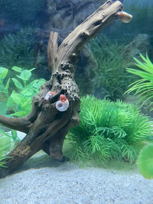 Aquatic Arts Picture 8