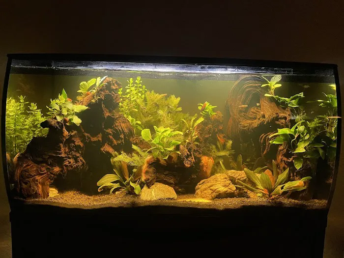 Aquatic Arts Picture 7